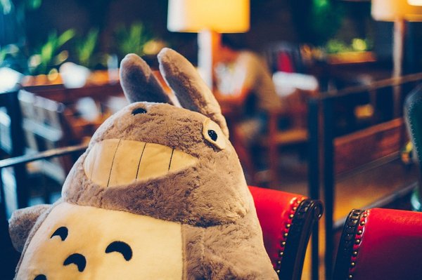 Guide d'achat pour trouver une peluche totoro