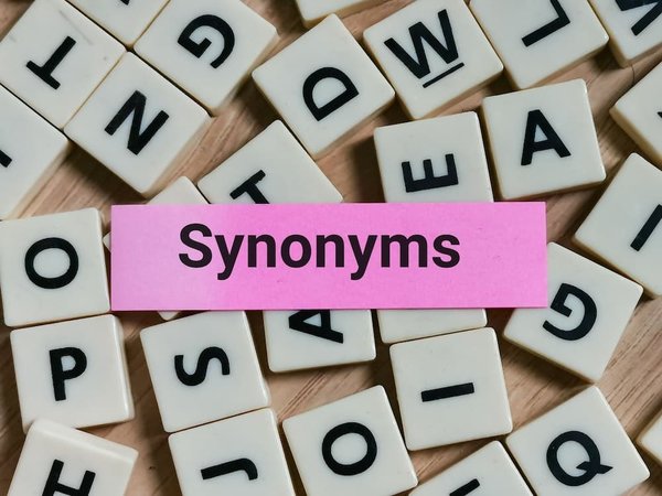 Quelle est le synonyme de cadre ?